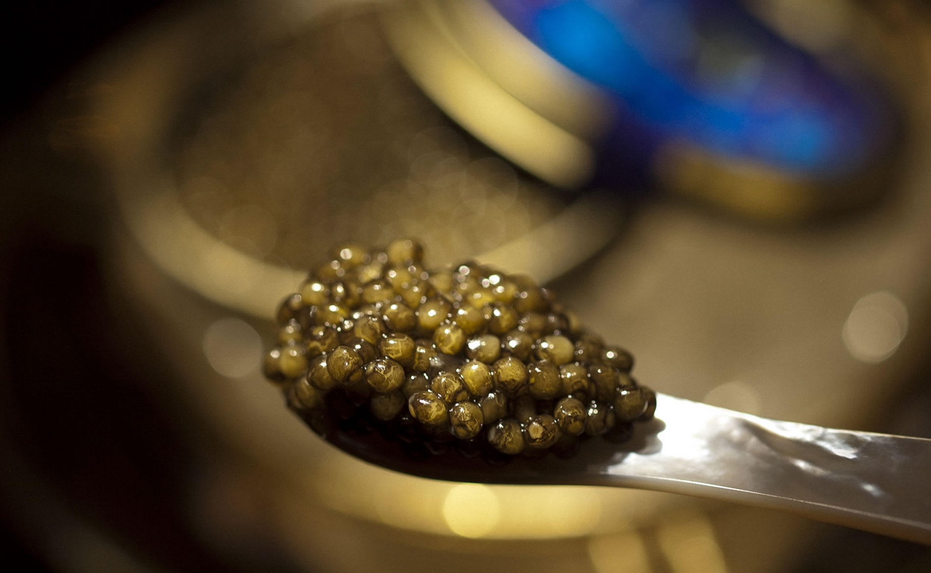 Buy Caviar Online Caviar for Sale London Imperial Caviar London, UK